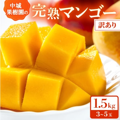 【2026年7月から順次発送・白箱】中城果樹園の完熟アップルマンゴー 訳あり1.5kg(3～5玉)