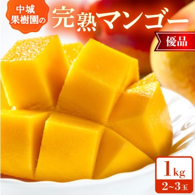 【2026年7月から順次発送・化粧箱】中城果樹園の完熟マンゴー 優品1.0kg(2～3玉)