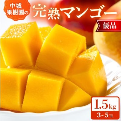 【2026年7月から順次発送・化粧箱】中城果樹園の完熟マンゴー 優品1.5kg(3～5玉)
