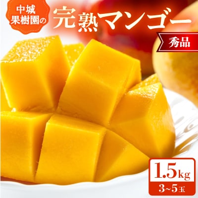 【2026年7月から順次発送・化粧箱】中城果樹園の完熟マンゴー 秀品1.5kg(3～5玉)