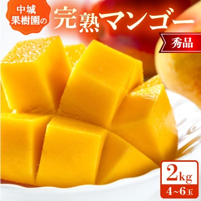 【2026年7月から順次発送・化粧箱】中城果樹園の完熟マンゴー 秀品2.0kg(4～6玉)