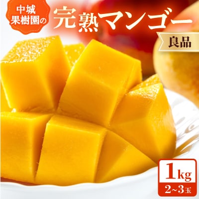 【2026年7月から順次発送・白箱】中城果樹園の完熟アップルマンゴー 良品1.0kg(2～3玉)