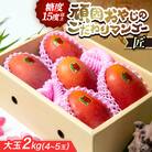 【2026年発送・糖度15度以上保証】頑固おやじのこだわりマンゴー匠 大玉2kg(4～5玉)