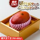 【2026年発送・糖度12度以上保証】頑固おやじのこだわりマンゴー超大玉1玉(700g～850g)