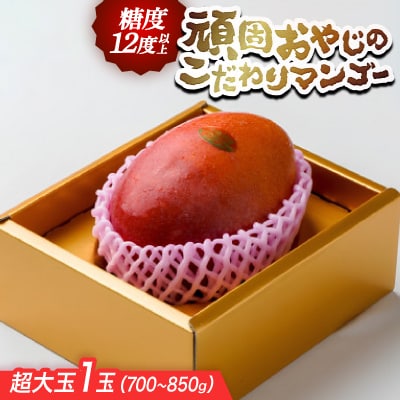 【2026年発送・糖度12度以上保証】頑固おやじのこだわりマンゴー超大玉1玉(700g～850g)