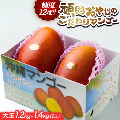 【2026年発送・糖度12度以上保証】頑固おやじのこだわりマンゴー大玉1.2kg～1.4kg(2玉)