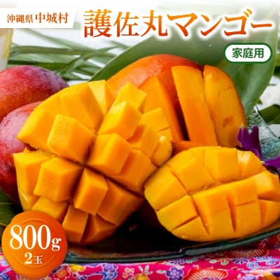 【2026年6月下旬から順次発送・家庭用】護佐丸マンゴー800g(2玉)