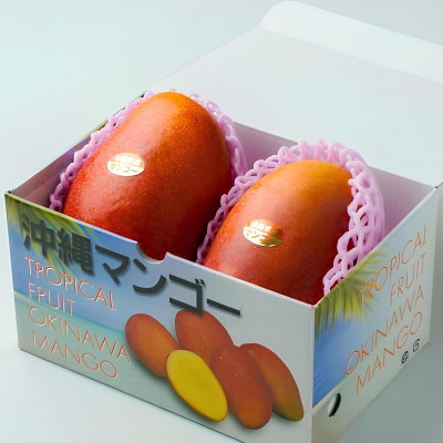 【2026年6月下旬から順次発送・家庭用】護佐丸マンゴー800g(2玉)