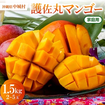 【2027年6月から順次発送・家庭用】護佐丸マンゴー1.5kg(2～5玉)