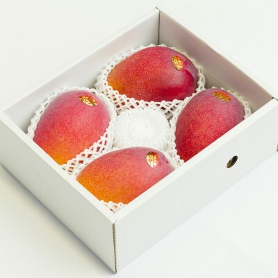 【2026年6月下旬から順次発送・家庭用】護佐丸マンゴー1.5kg(3～5玉)