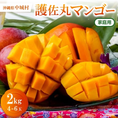 【2026年6月下旬から順次発送・家庭用】護佐丸マンゴー2.0kg(4～6玉) | ふるさと納税のお礼品