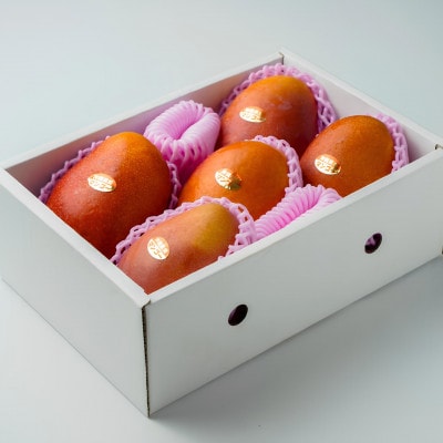 【2026年6月下旬から順次発送・家庭用】護佐丸マンゴー2.0kg(4～6玉)