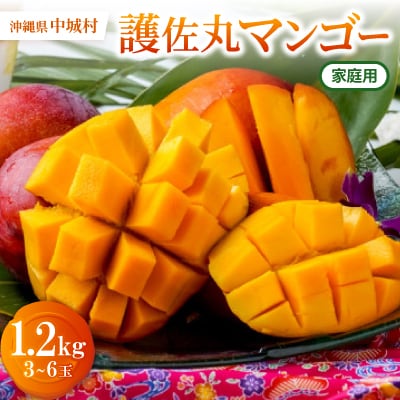 【2026年6月下旬から順次発送・訳あり】護佐丸マンゴー1.2kg(3～6玉)