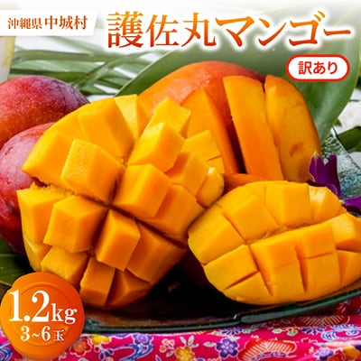 【2027年6月から順次発送・訳あり】護佐丸マンゴー1.2kg(3～6玉)