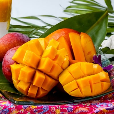 【2026年6月下旬から順次発送・訳あり】護佐丸マンゴー800g(2~3玉)