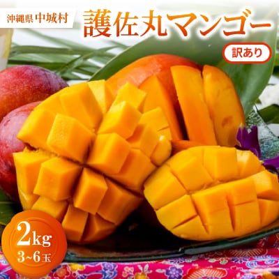 【2026年6月下旬から順次発送・訳あり】護佐丸マンゴー2.0kg(3～6玉)