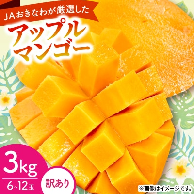 【2026年6月から順次発送・訳あり】アップルマンゴー3.0kg(6～12玉)