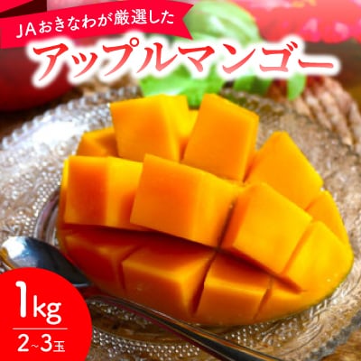 【2026年6月から順次発送・化粧箱】JAおきなわが厳選したアップルマンゴー1kg(2～3玉)
