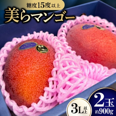 【2026年6月から順次発送・数量限定】糖度15度以上を選別した「美らマンゴー」約900g(2玉)