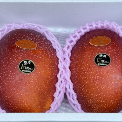 【2026年6月から順次発送・数量限定】糖度15度以上を選別した「プレミアムマンゴー」2玉