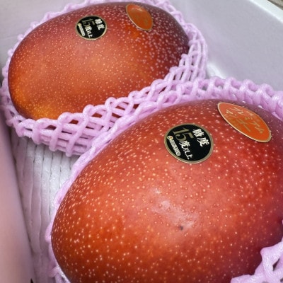 【2026年6月から順次発送・数量限定】糖度15度以上を選別した「プレミアムマンゴー」2玉