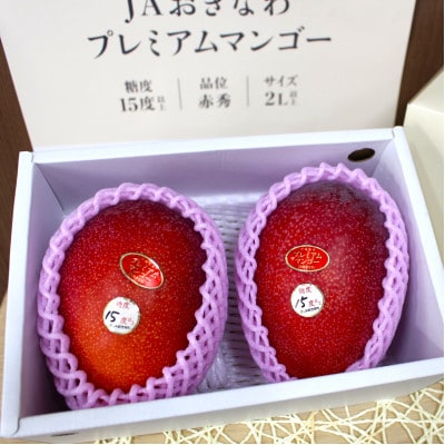 【2026年6月から順次発送・数量限定】糖度15度以上を選別した「プレミアムマンゴー」2玉