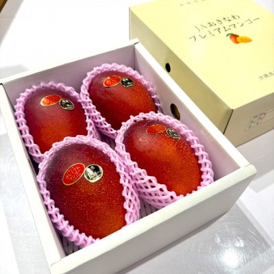 【2026年6月から順次発送・数量限定】糖度15度以上を選別した「プレミアムマンゴー」4玉