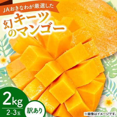 【2026年8月から順次発送・訳あり】JAおきなわ厳選した幻のキーツマンゴー2kg(2～3玉)