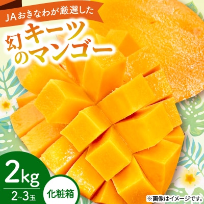 【2026年8月から順次発送・化粧箱】JAおきなわ厳選した幻のキーツマンゴー2kg(2～3玉)
