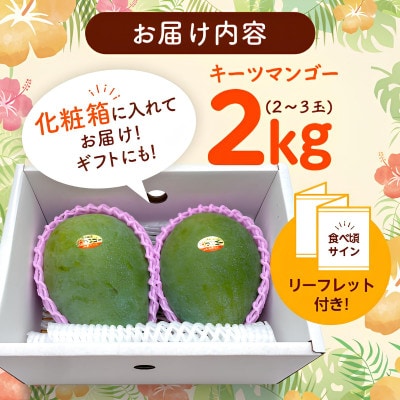 【2026年8月から順次発送・化粧箱】JAおきなわ厳選した幻のキーツマンゴー2kg(2~3玉)