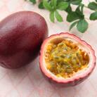 【2026年5月から順次発送・贈答用】JAおきなわが厳選したパッションフルーツ1kg(8~10玉)