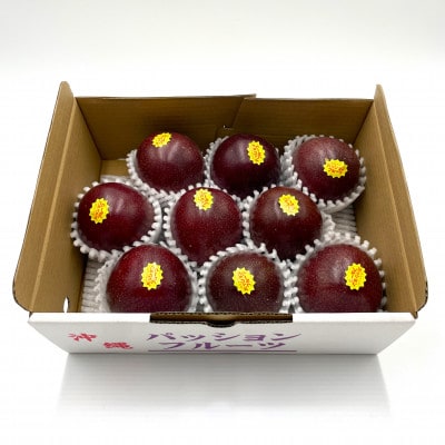 【2026年5月から順次発送・贈答用】JAおきなわが厳選したパッションフルーツ1kg(8~10玉)