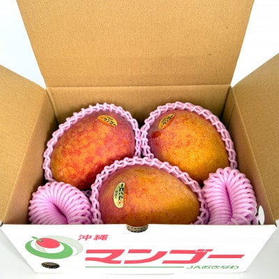 【2026年6月から順次発送・訳あり】アップルマンゴー2.0kg(4～6玉)