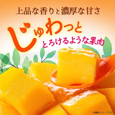 【2026年6月から順次発送・訳あり】アップルマンゴー2.0kg(4～6玉)