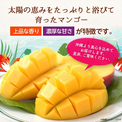 【2026年6月から順次発送・訳あり】アップルマンゴー2.0kg(4～6玉)