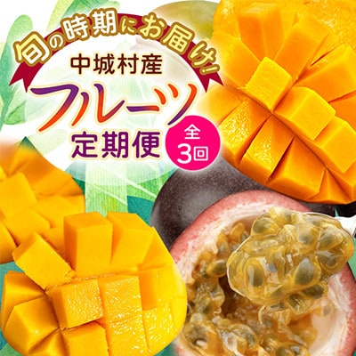 【発送月固定定期便】2026年発送 JAおきなわが厳選する南国フルーツ定期便全3回