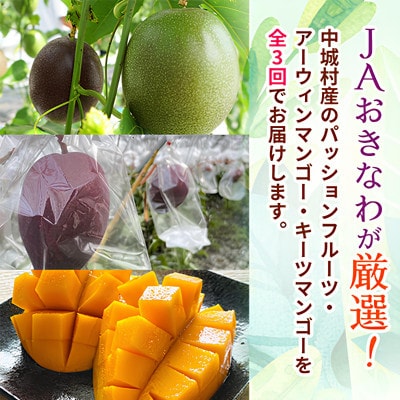 【発送月固定定期便】2026年発送 JAおきなわが厳選する南国フルーツ定期便全3回