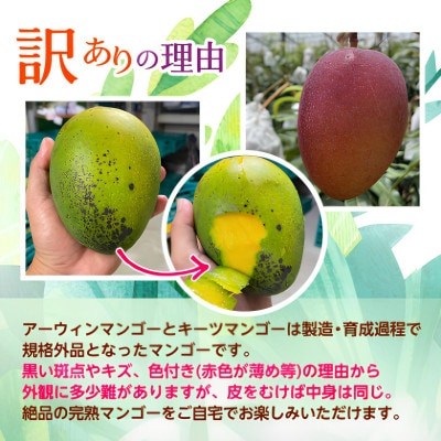 【発送月固定定期便】2026年発送 JAおきなわが厳選する南国フルーツ定期便全3回