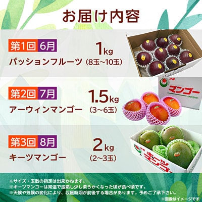 【発送月固定定期便】2026年発送 JAおきなわが厳選する南国フルーツ定期便全3回