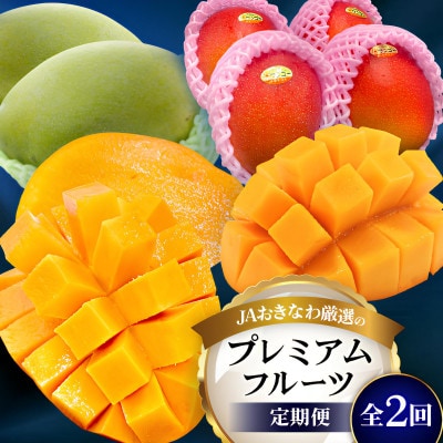 【発送月固定定期便】2026年発送 JAおきなわ厳選のプレミアムフルーツ定期便全2回