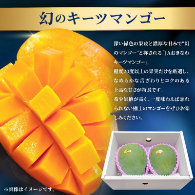 【発送月固定定期便】2026年発送 JAおきなわ厳選のプレミアムフルーツ定期便全2回