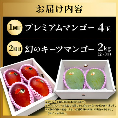 【発送月固定定期便】2026年発送 JAおきなわ厳選のプレミアムフルーツ定期便全2回