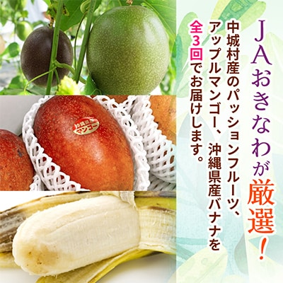 【発送月固定定期便】JAおきなわ厳選フルーツセット(パッションフルーツ・マンゴー・島バナナ)全3回