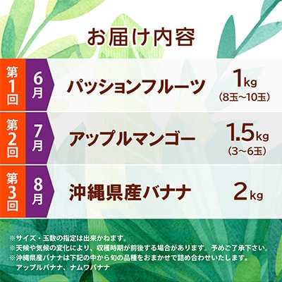 【発送月固定定期便】JAおきなわ厳選フルーツセット(パッションフルーツ・マンゴー・島バナナ)全3回