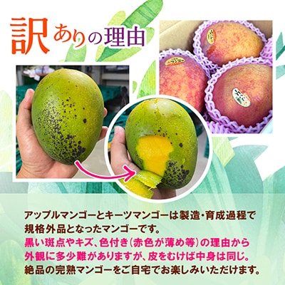 【発送月固定定期便】JAおきなわ厳選!季節の南国フルーツ全4回