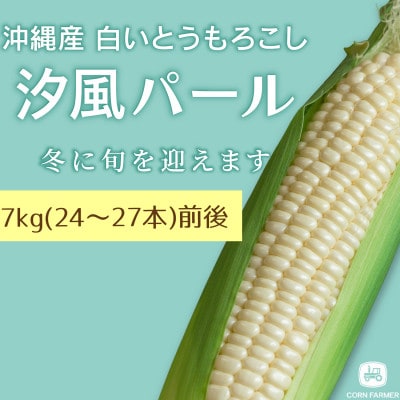 【2026年2月から順次発送】汐風パール 糖度20度超えの極甘とうもろこし7kg(24～27本)