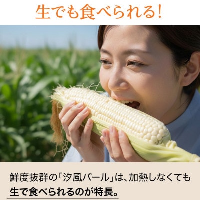 【2026年2月から順次発送】汐風パール 糖度20度超えの極甘とうもろこし7kg(24～27本)