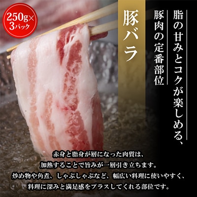 飲める脂の幸福!豚肉バラエティセット 豚バラ・豚ロース・肩ロースの各種3パック 合計2.25kg
