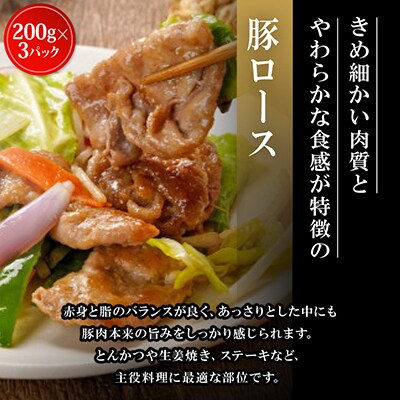 飲める脂の幸福!豚肉バラエティセット 豚バラ・豚ロース・肩ロースの各種3パック 合計1.8kg