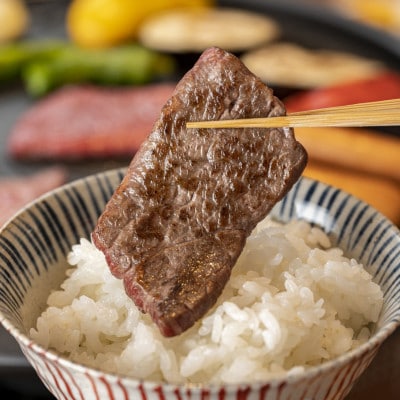 牛肉バラエティーセット 1kg(カルビ・ハラミ・タン・マルチョウ 各種250g)